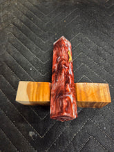 Cholla Cactus Hybrid Pen Blank