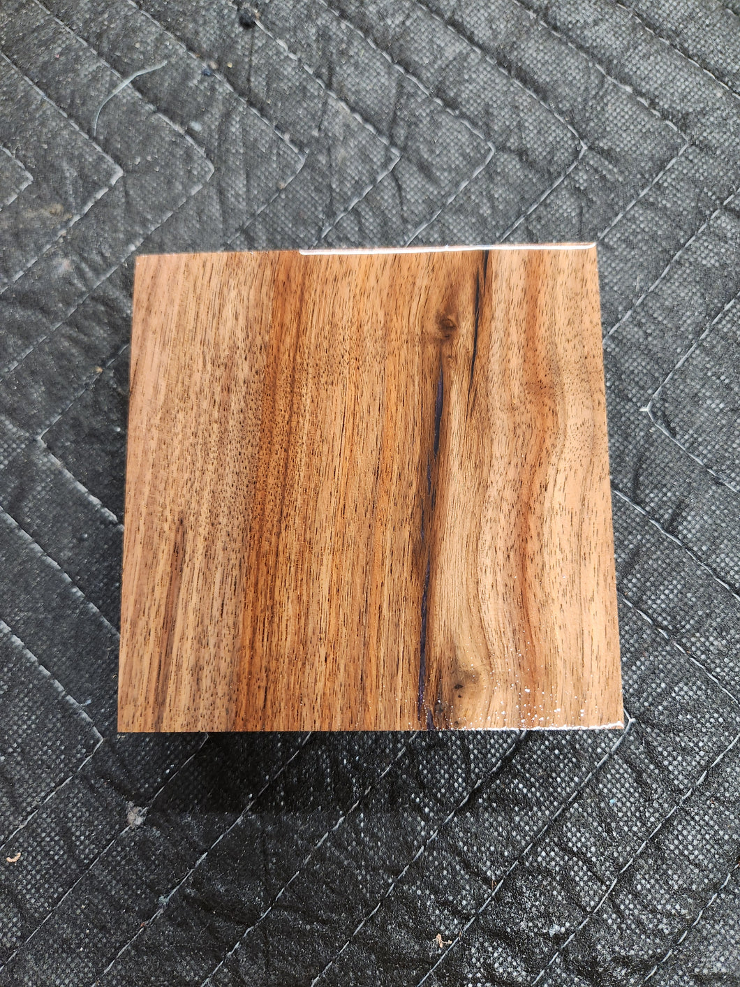 Hybrid Black Walnut Turkey Pot
