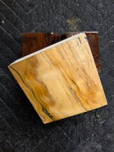 Hybrid Horse Chestnut Turkey Pot