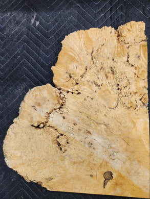 Box Elder Burl Slab