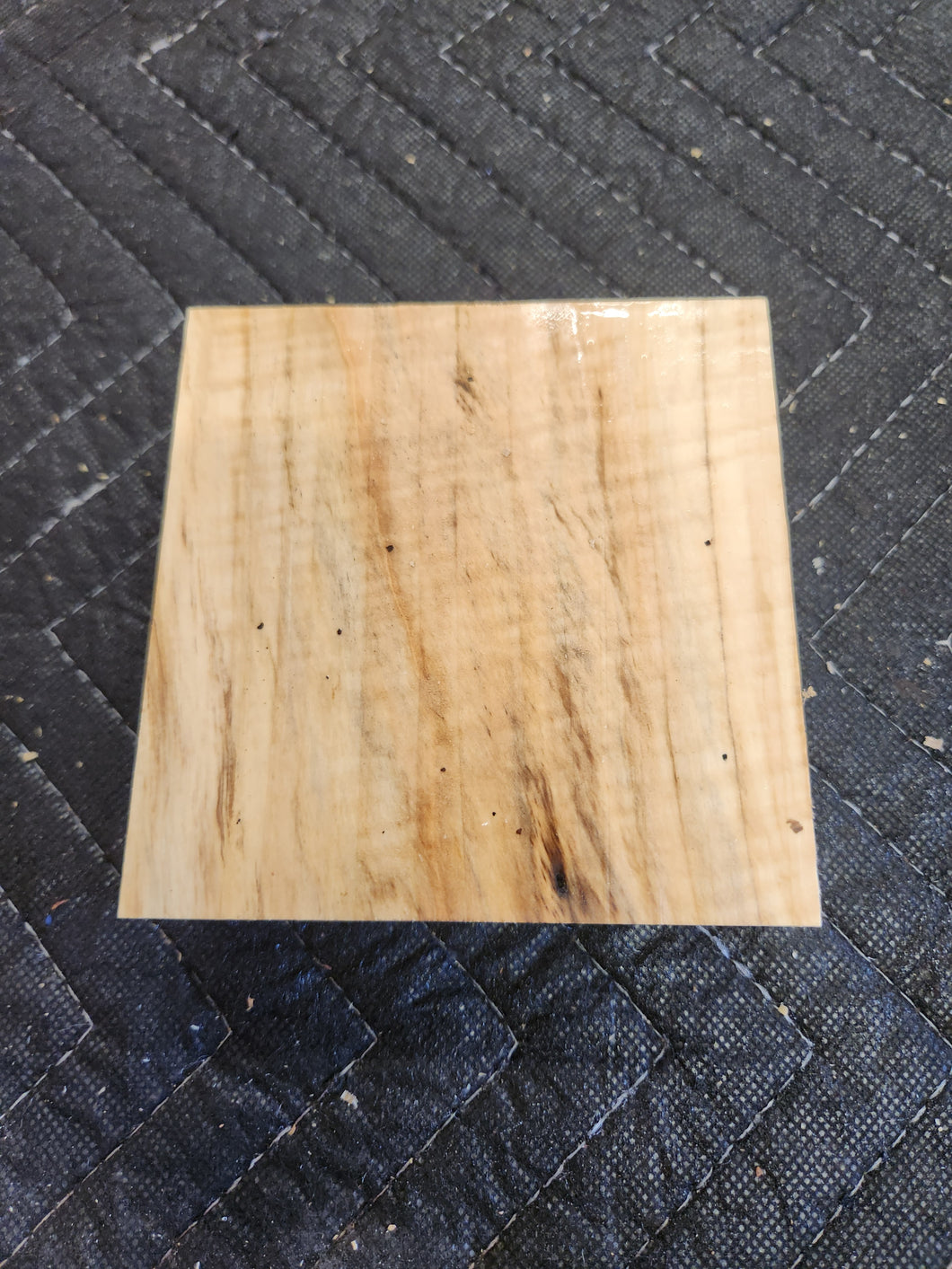 Horse Chestnut Turkey Pot Call