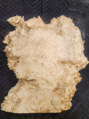 Box Elder Burl Slab