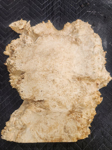 Box Elder Burl Slab