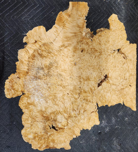 Box Elder Burl Cap