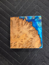 Brown Mallee Turkey Pot Hybrid