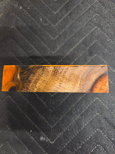 Indian Rosewood Turkey Pot Hybrid
