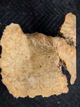 Box Elder Burl cap