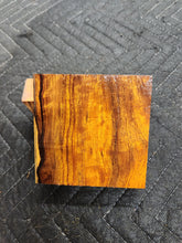 Desert Ironwood Turkey Pot