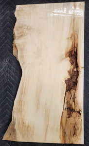 Box Elder Burl Slab