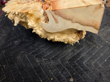 Box Elder Burl cap