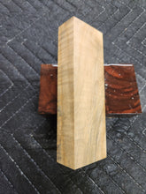 Horse Chestnut Curly Knife Scale