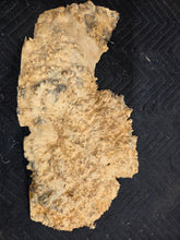 Box Elder Burl Cap