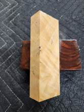 Horse Chestnut Curly Knife Scale