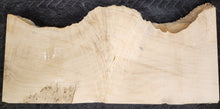 Box Elder Burl Slab