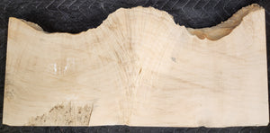 Box Elder Burl Slab