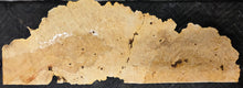 Box Elder Burl cap