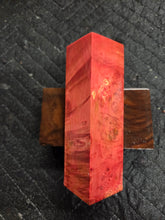 Stabilized Box Elder Burl