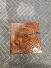 Black walnut