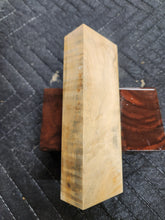 Horse Chestnut Curly Knife Scale