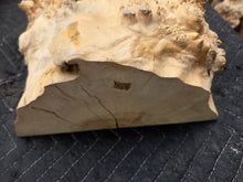 Box Elder Burl Cap