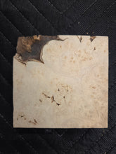 Redwood Burl Turkey Pot