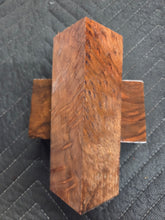 Redwood Burl