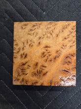 Yellow Box Burl Turkey Pot