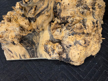 Box Elder Burl Cap