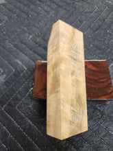 Horse Chestnut Curly Knife Scale