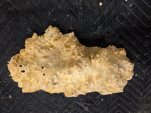 Box Elder Burl cap