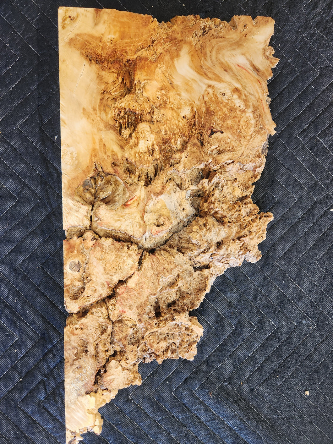 Box elder burl slab