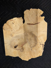 Box Elder Burl Cap