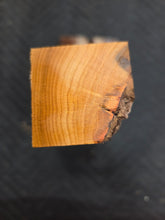 Apricot