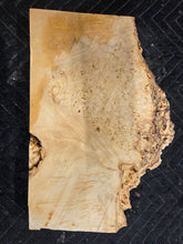 Box Elder Burl Slab