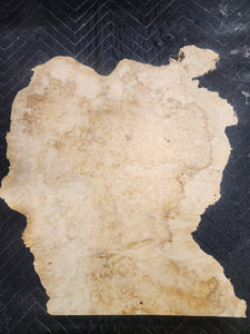 Box Elder Burl Slab