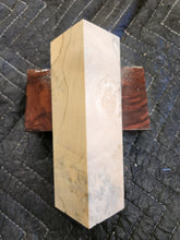 Box elder Burl