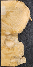 Box Elder Burl Slab
