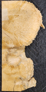 Box Elder Burl Slab