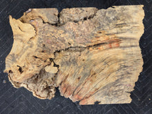 Box Elder Burl Slab