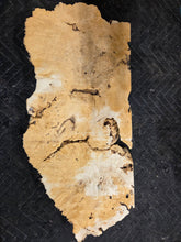 Box Elder Burl Slab