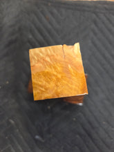 Brown Mallee