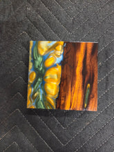 Desert Ironwood Hybrid Turkey Pot