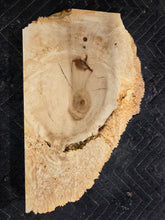 Box Elder Burl Slab