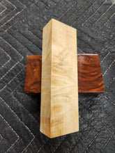 Horse Chestnut Curly Knife Scale