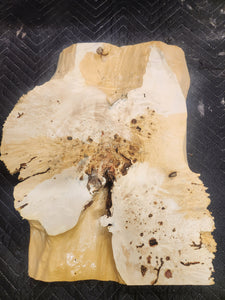 Box Elder Burl Slab