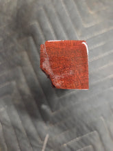 Camelthorn Pen Blank
