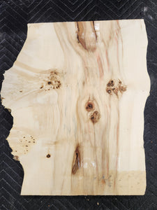 Box Elder Burl Slab