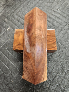 Hybrid Black Walnut