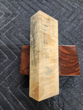 Horse Chestnut Curly Knife Scale