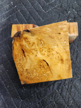 Casting Yellow Cedar Burl